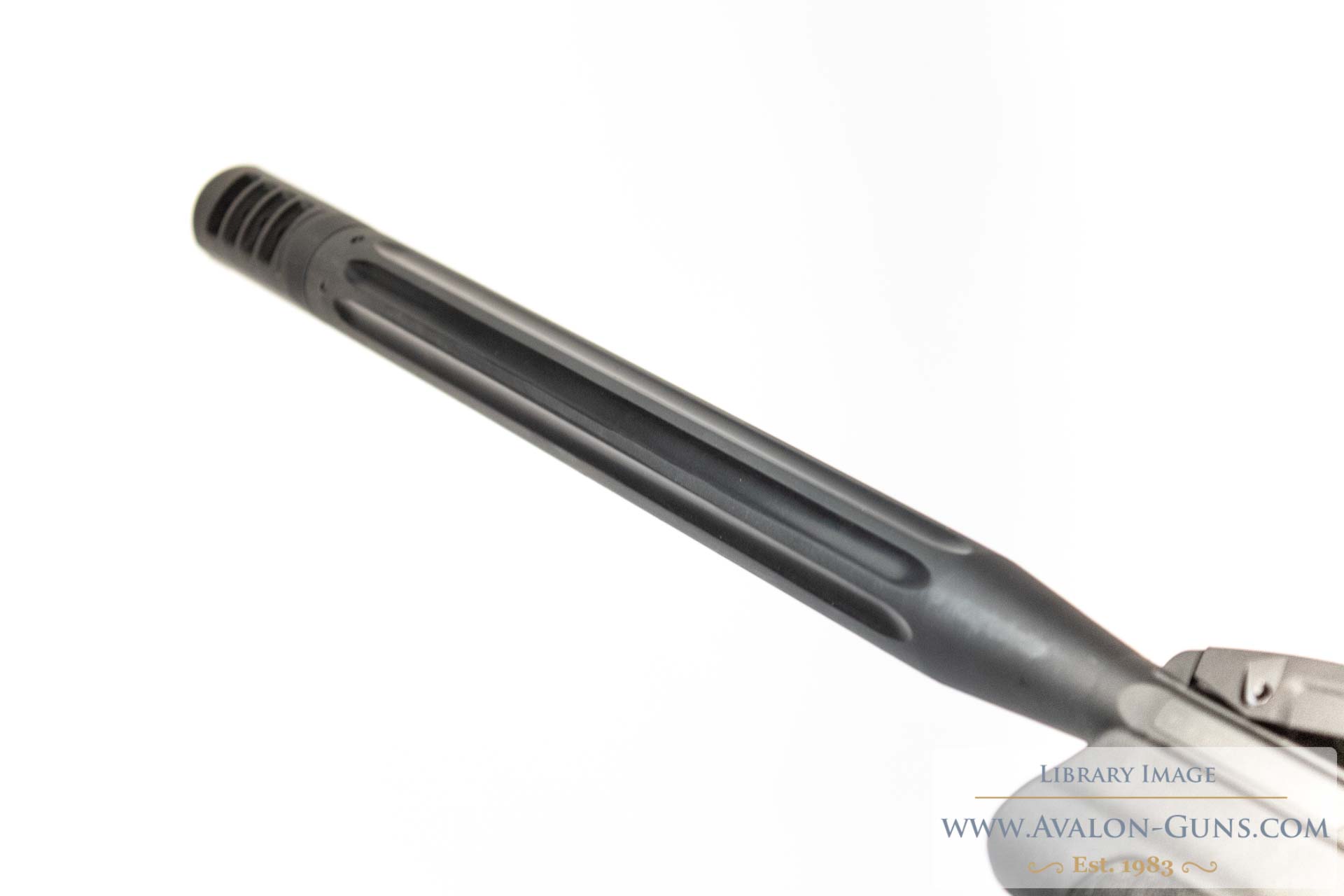 Gamo Maxxim