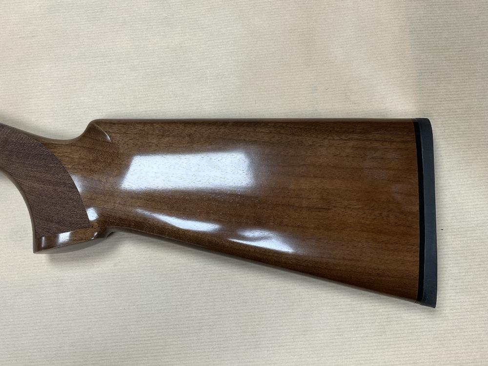 Rizzini BR110