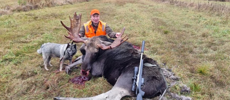 Moose Hunting Finland