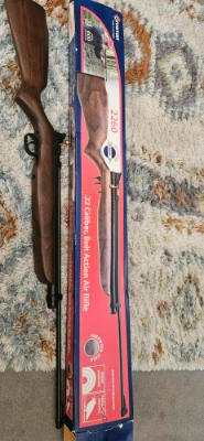 Firearm: Crosman 2260 