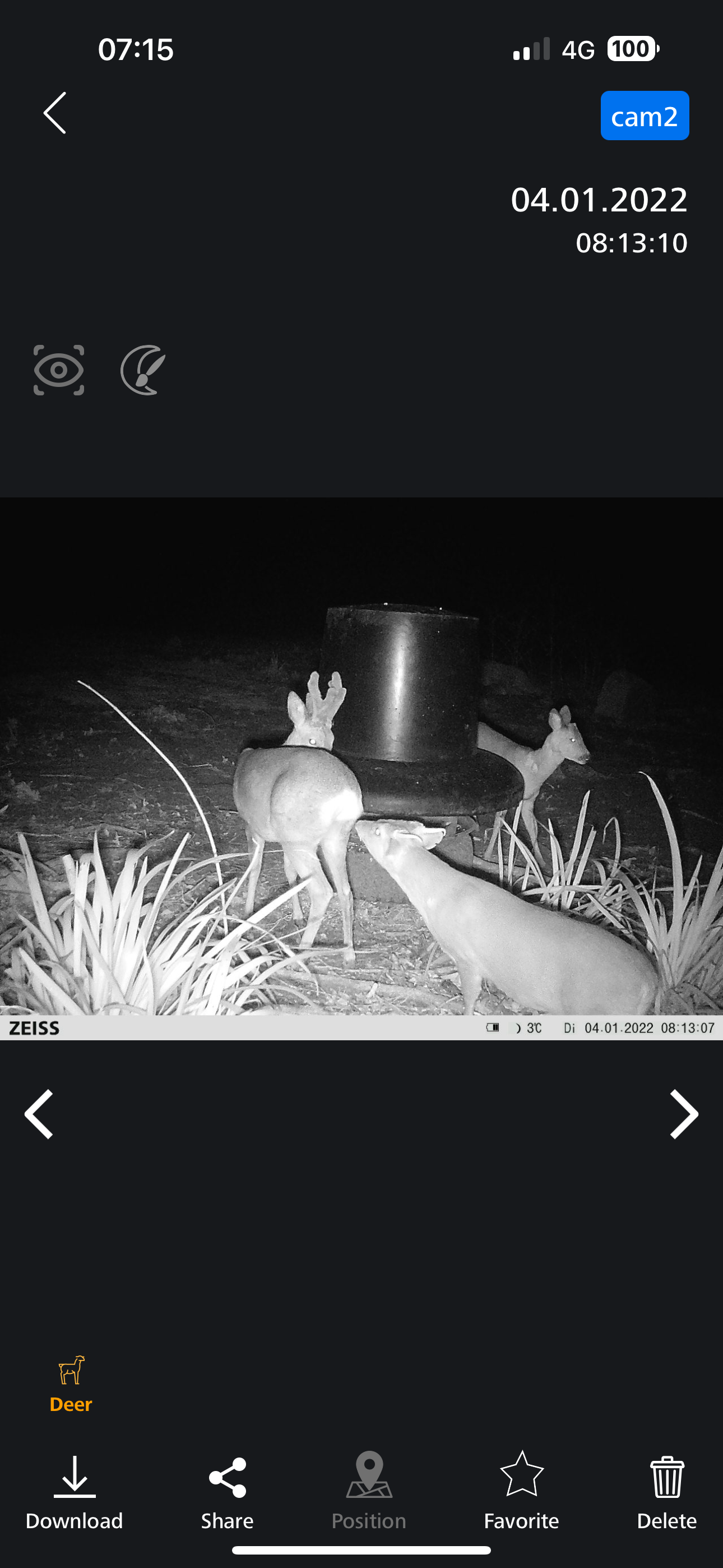 Marshall’s deer services