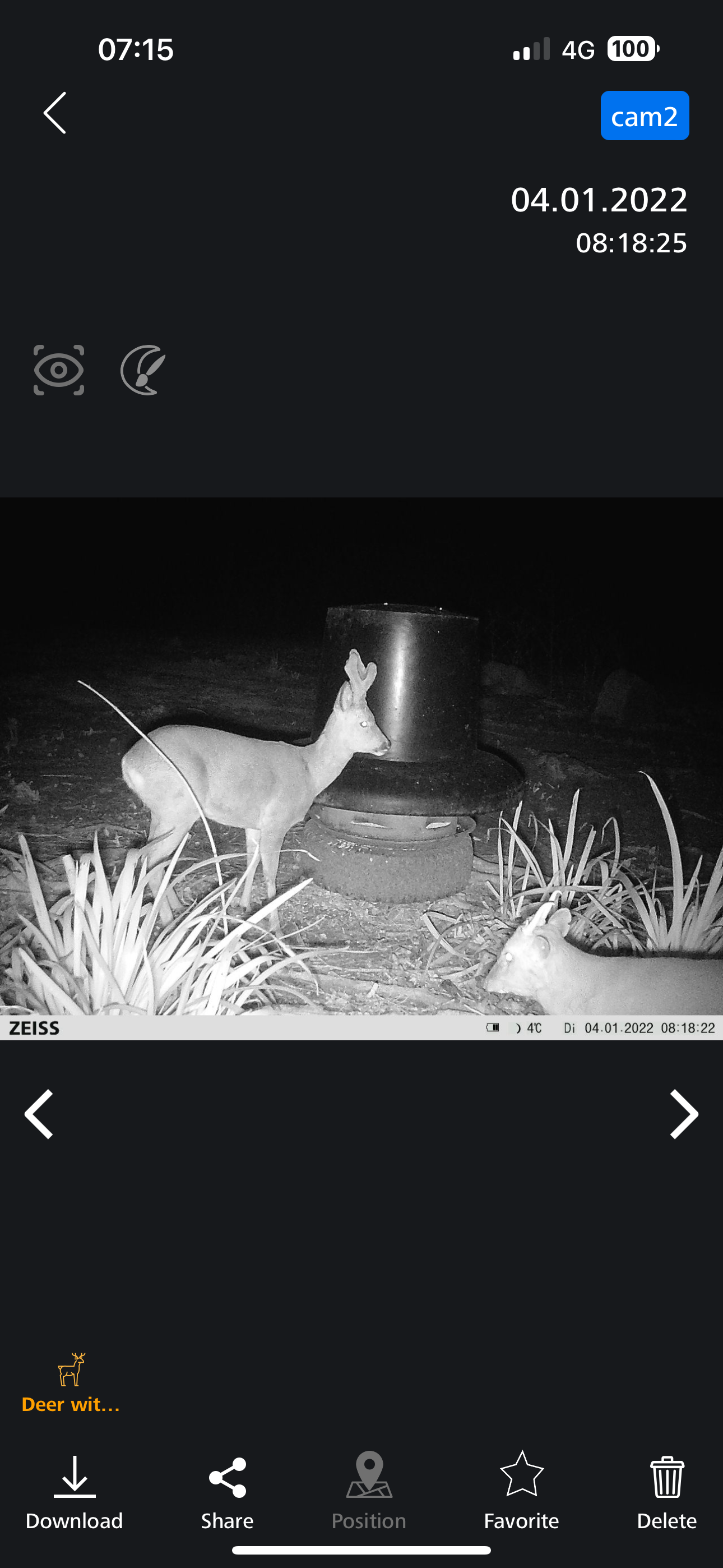 Marshall’s deer services