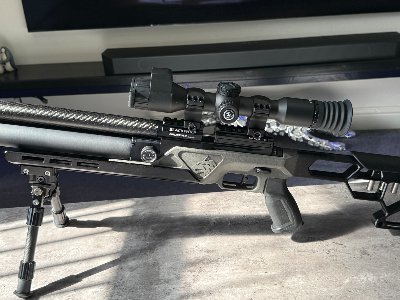 Firearm: Daystate Black Wolf Zero