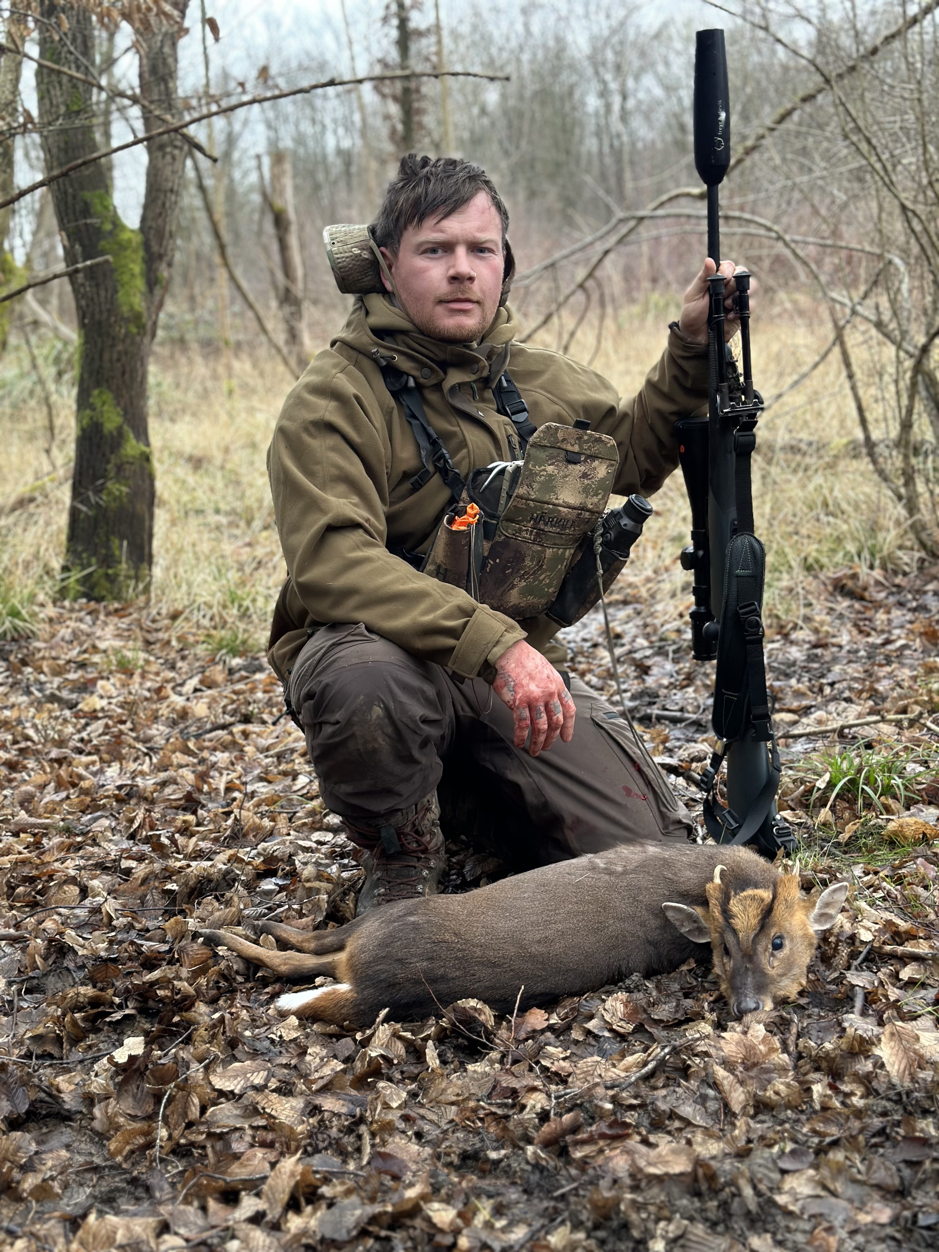 Marshall’s deer services