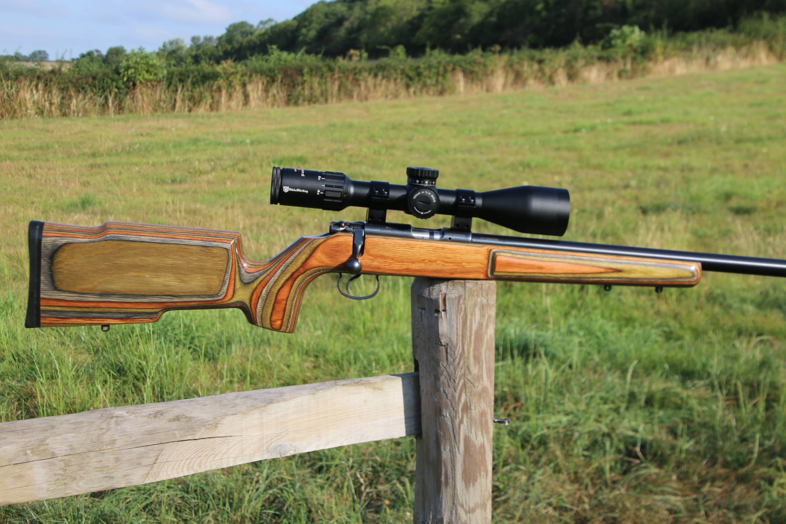 CZ 455