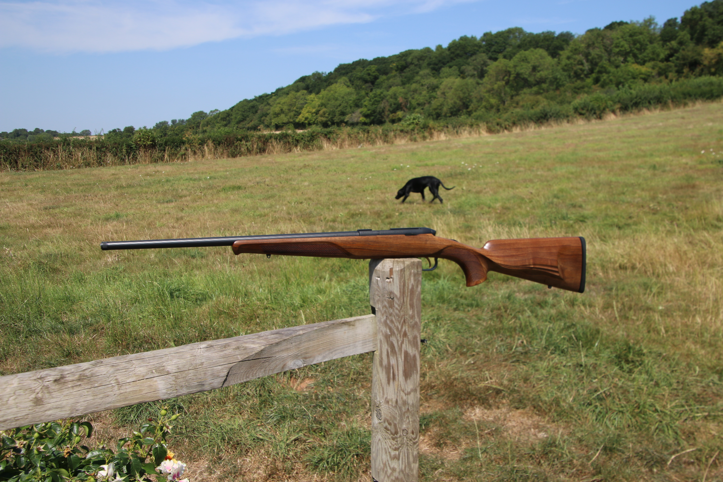 Steyr Mannlicher Zephyr II