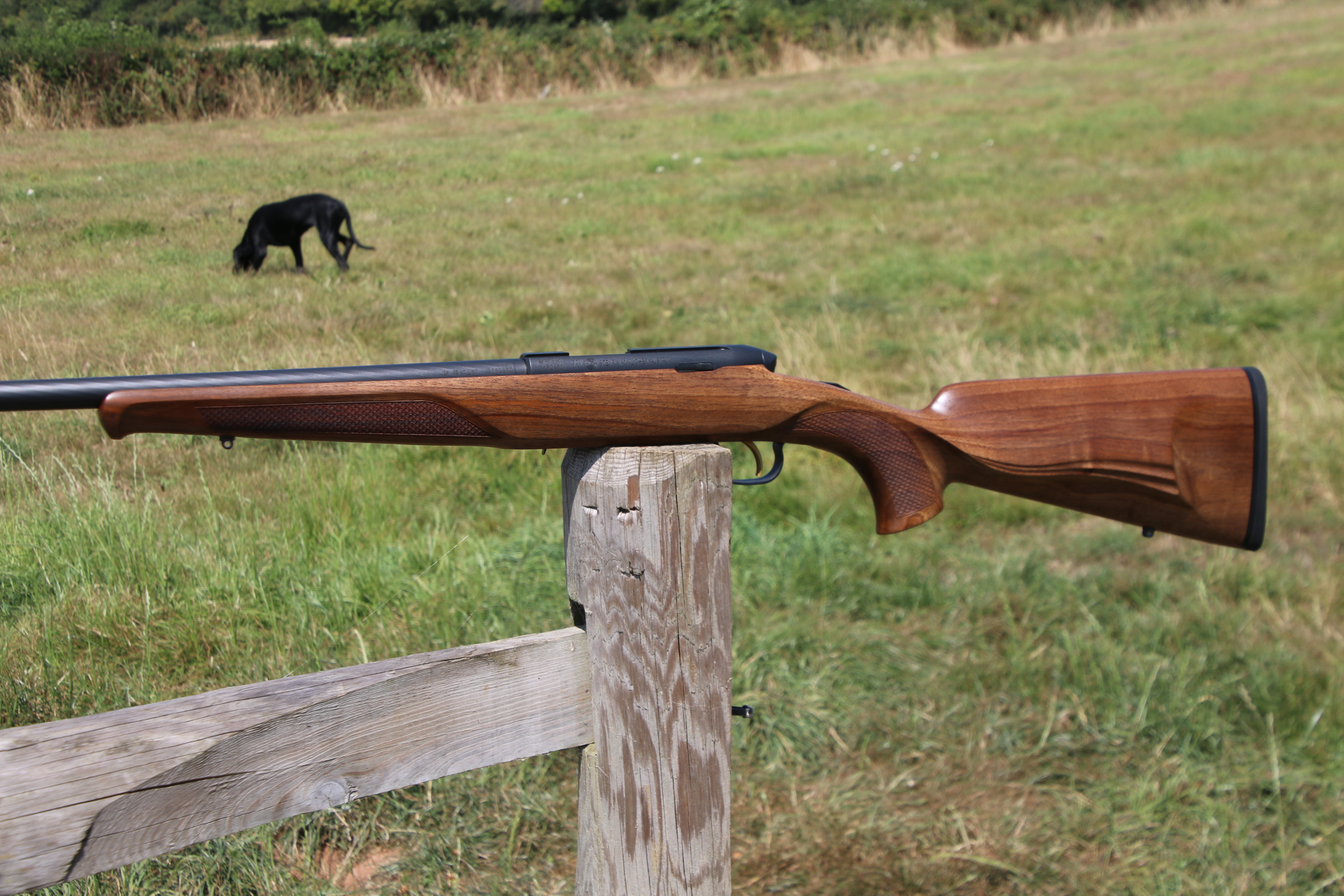Steyr Mannlicher Zephyr II