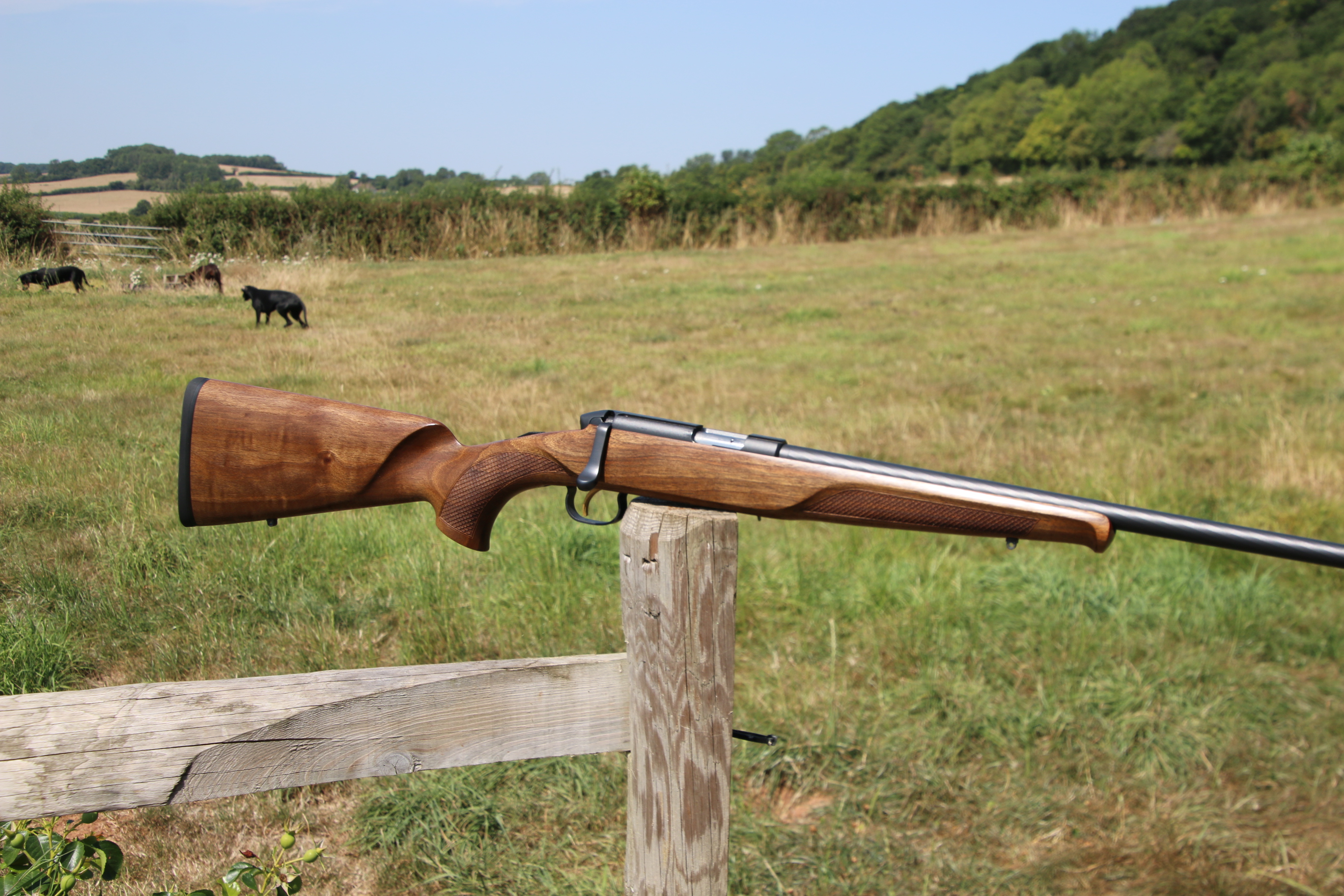 Steyr Mannlicher Zephyr II