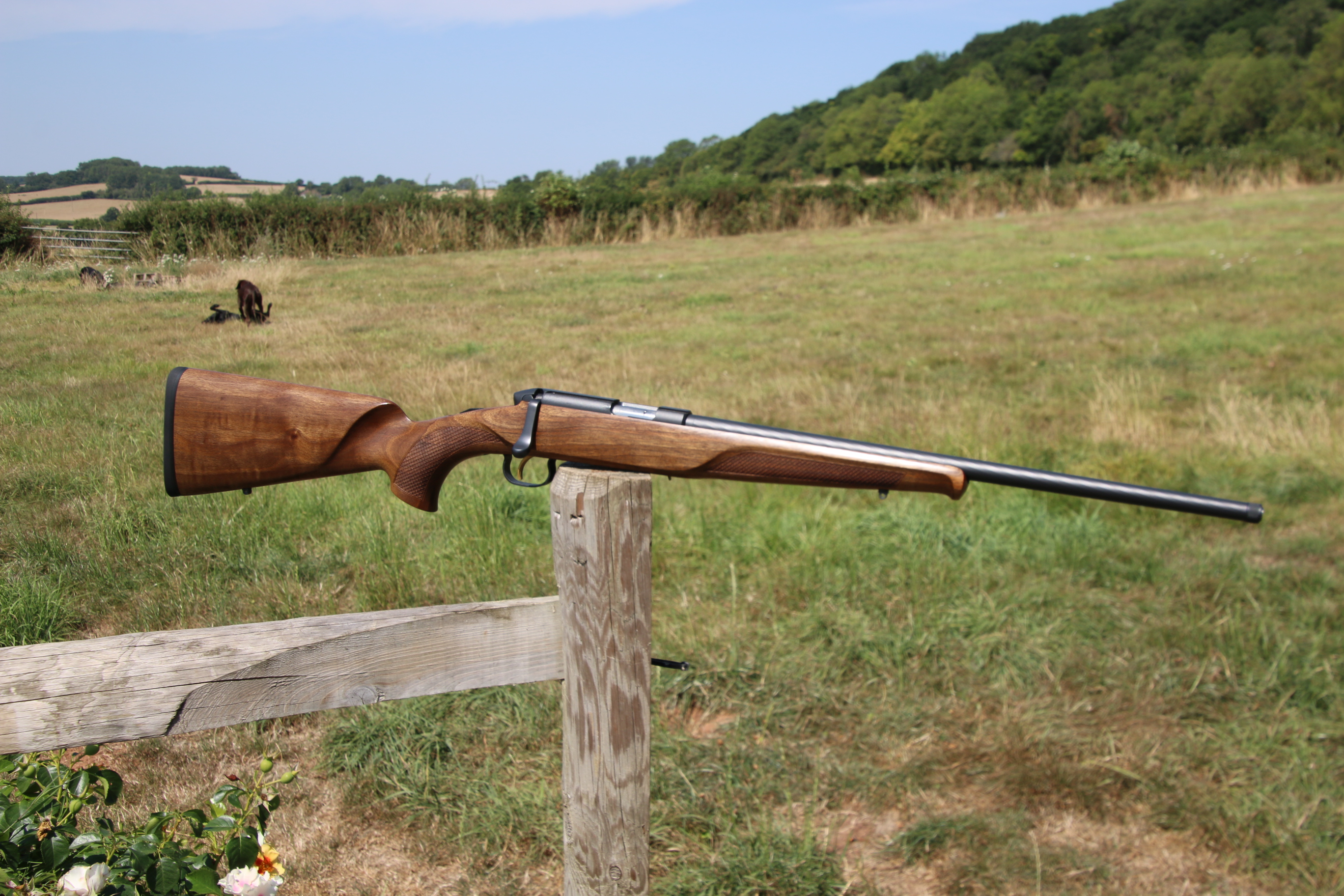 Steyr Mannlicher Zephyr II