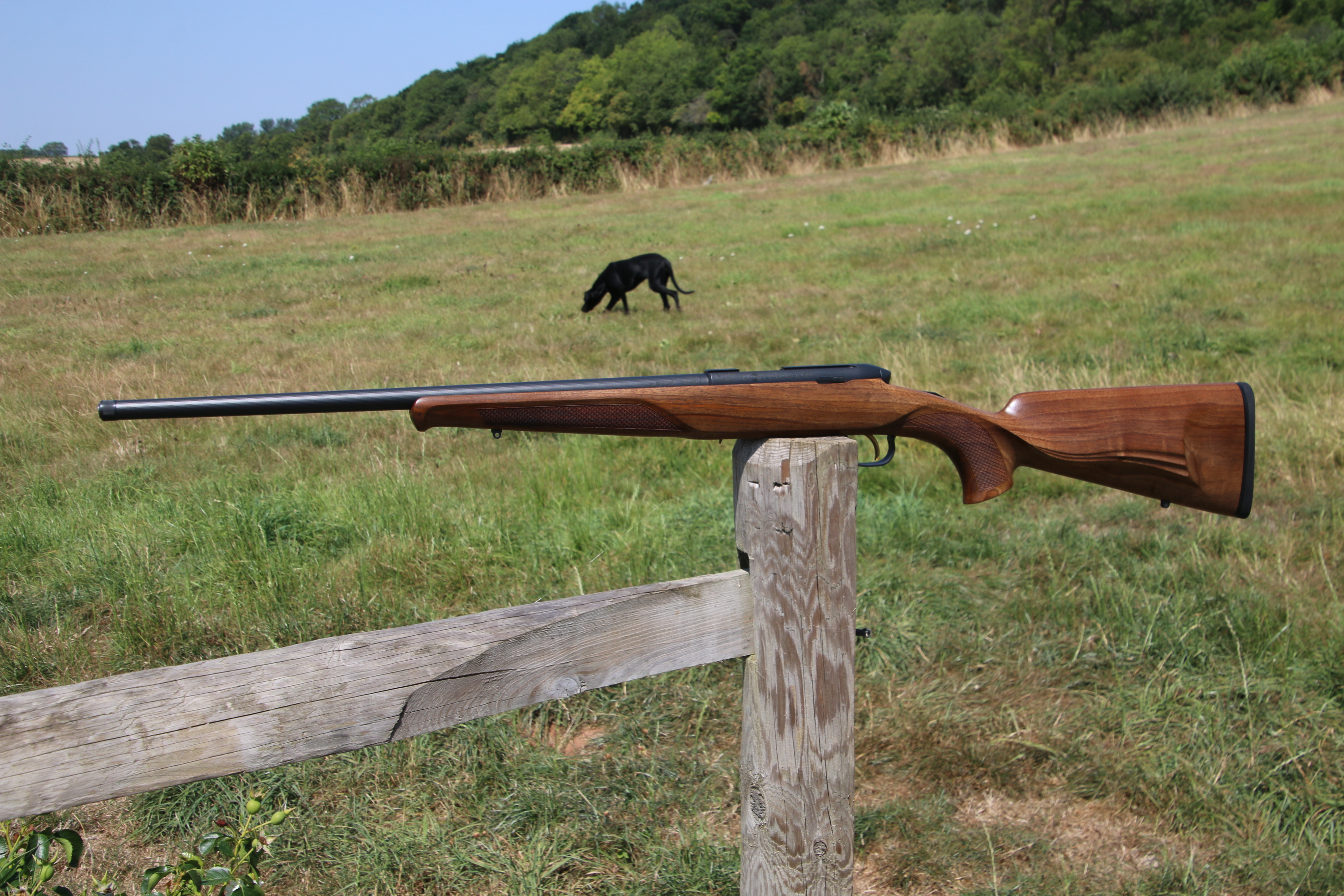 Steyr Mannlicher Zephyr II