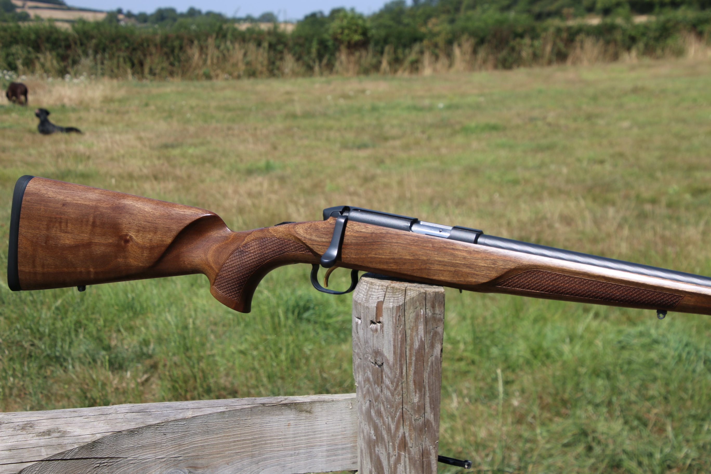 Steyr Mannlicher Zephyr II