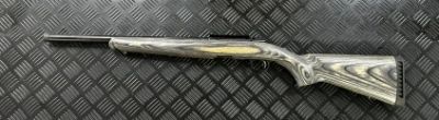 Firearm: Ruger American Rifle Generation 1 Rimfire Target