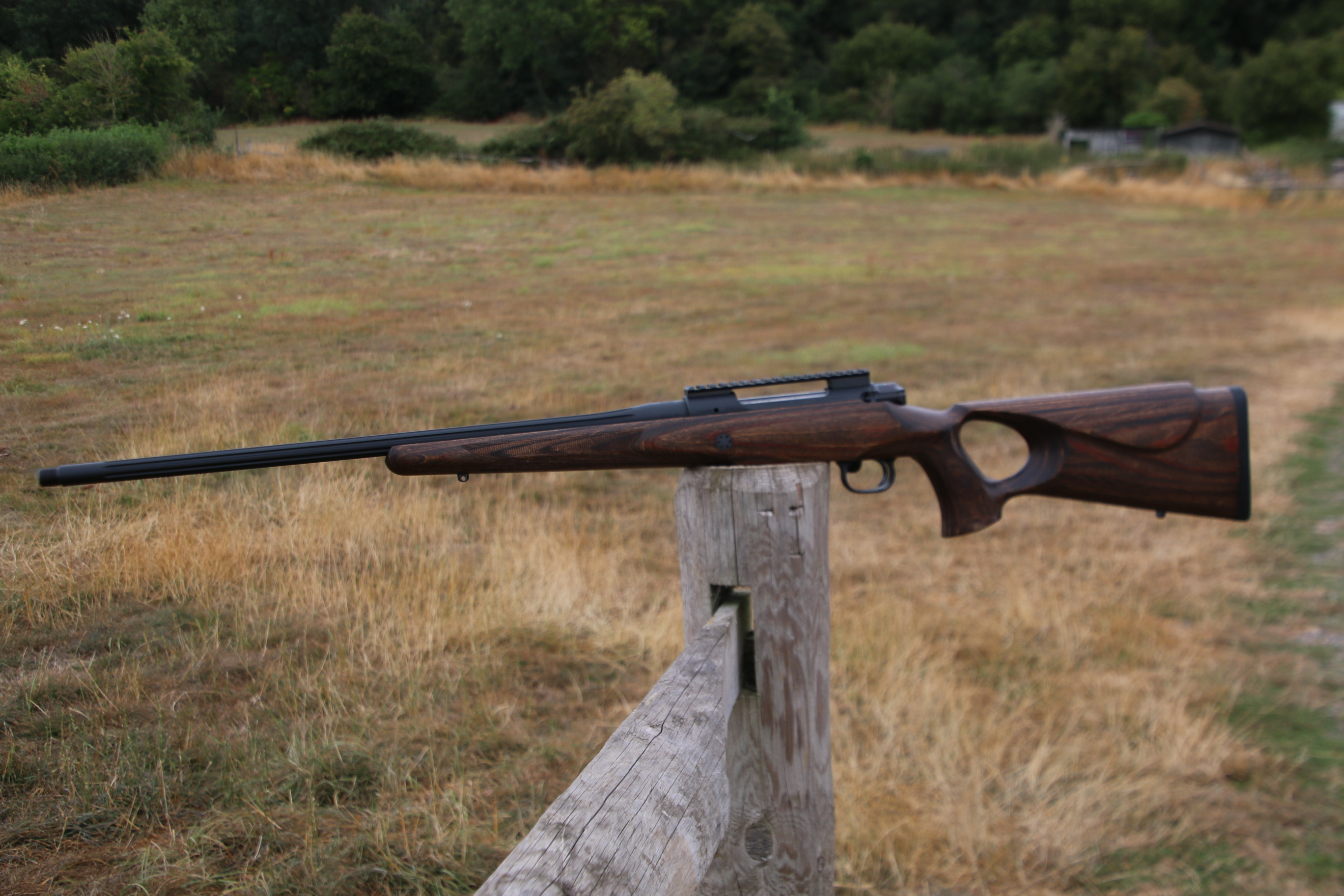 Mauser M12