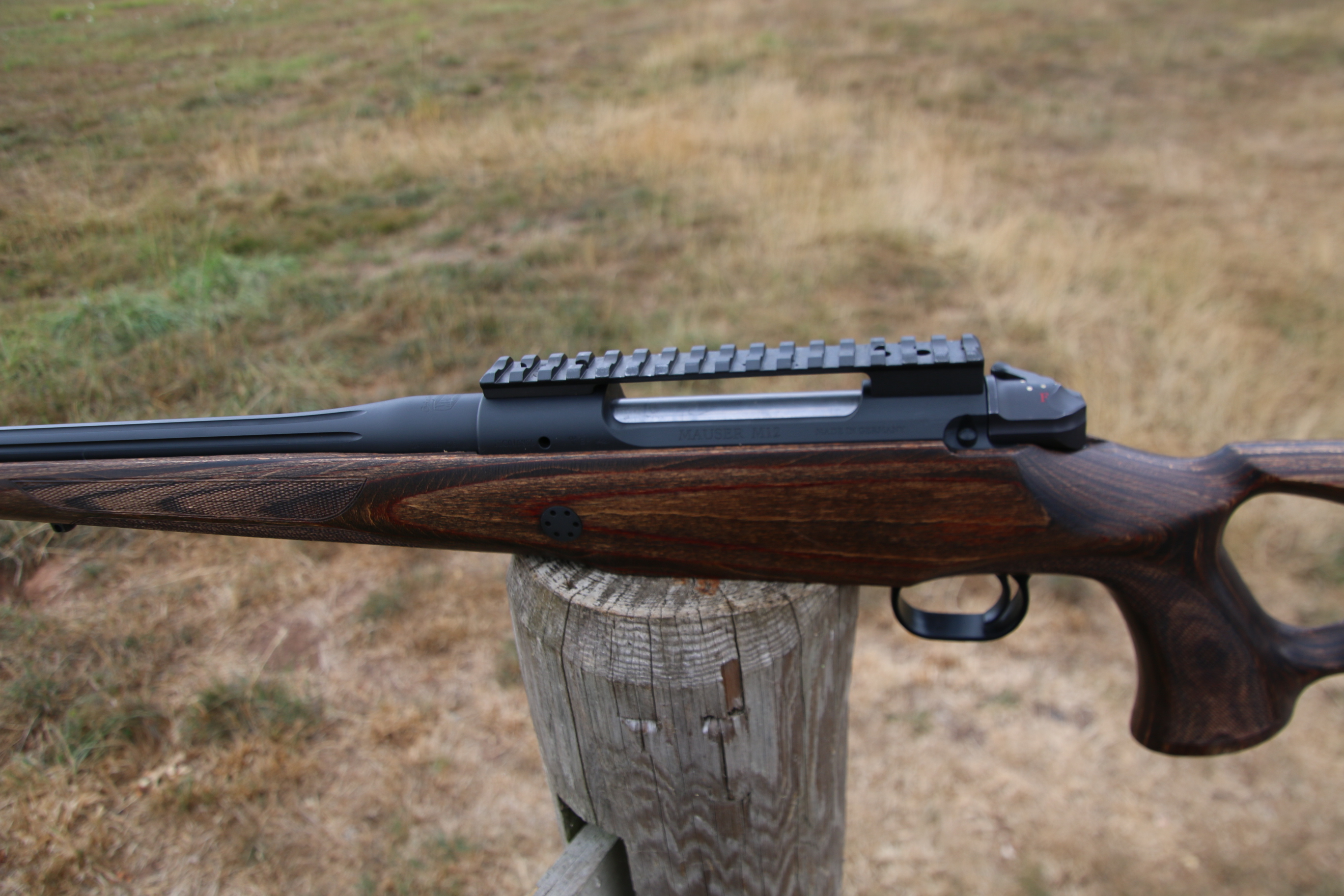 Mauser M12