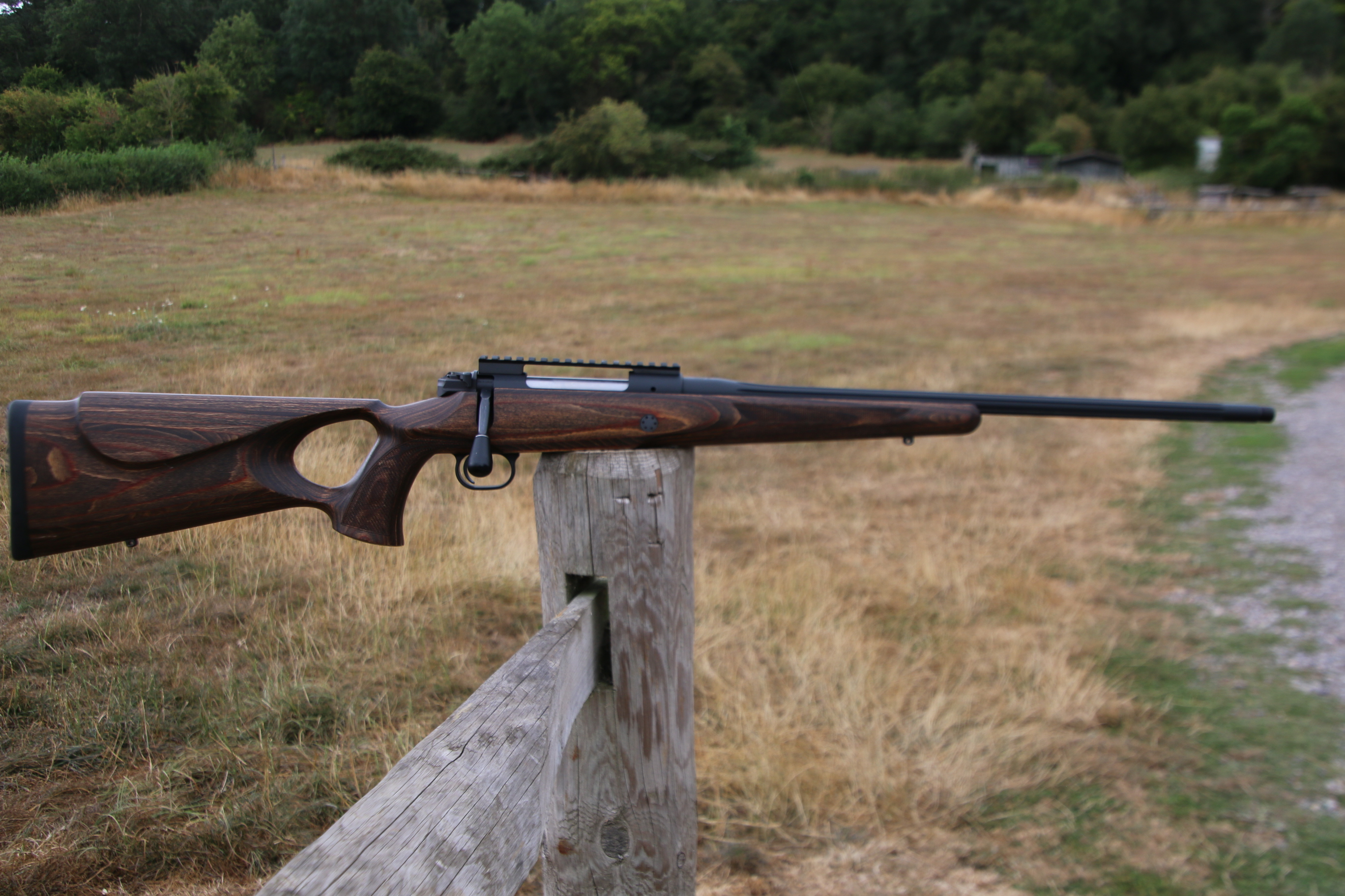 Mauser M12