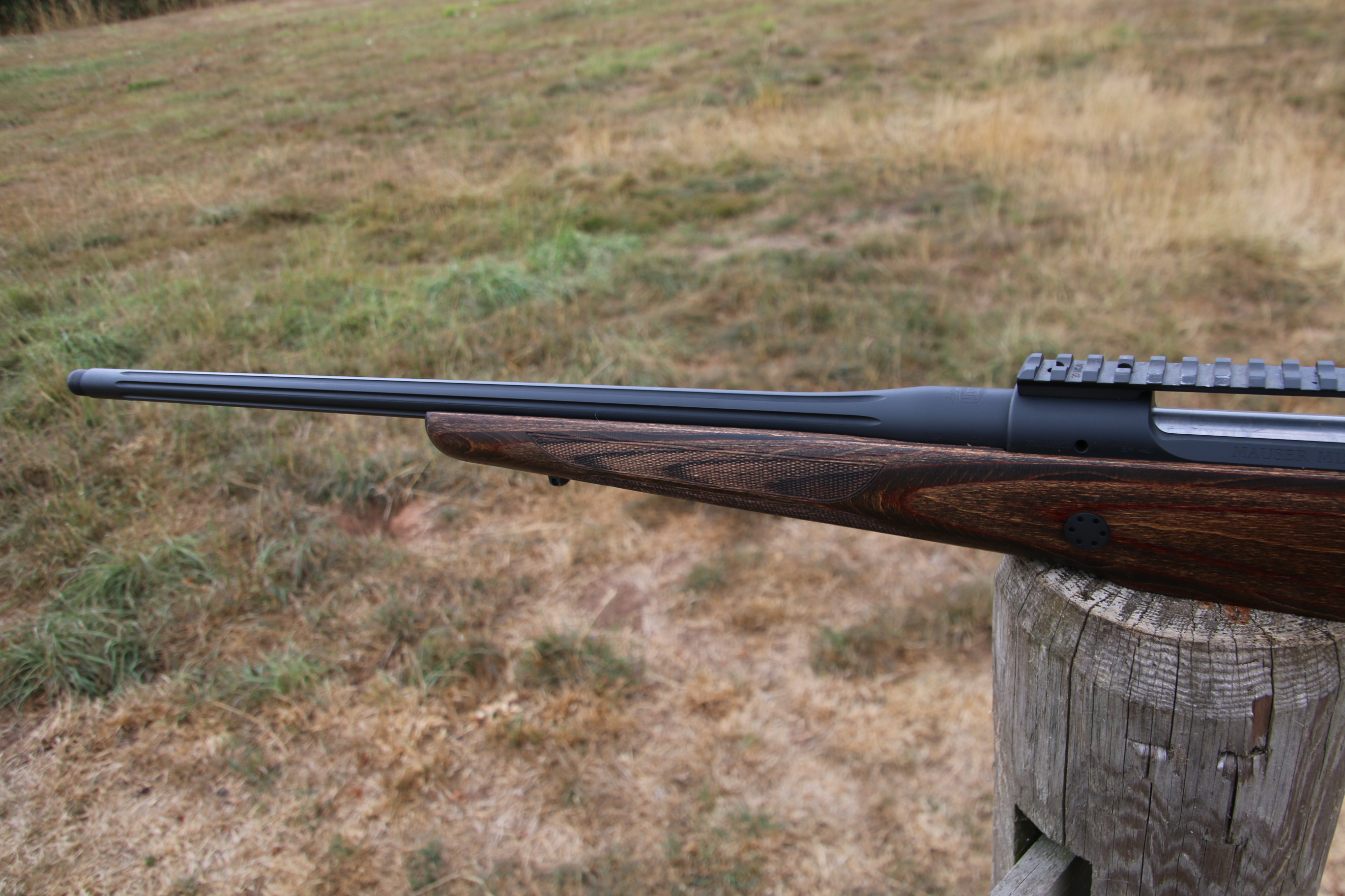 Mauser M12