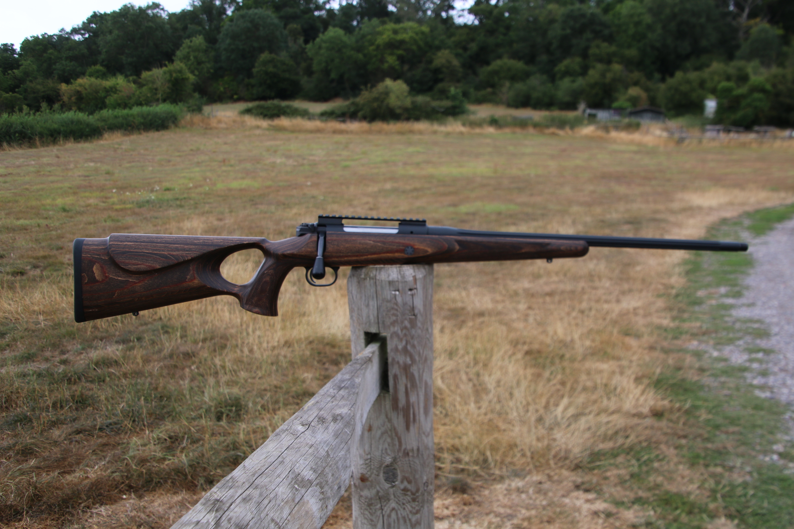 Mauser M12