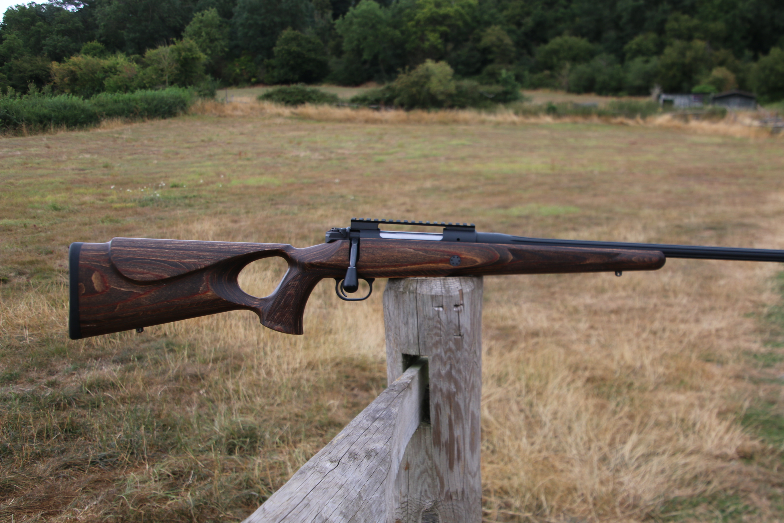 Mauser M12