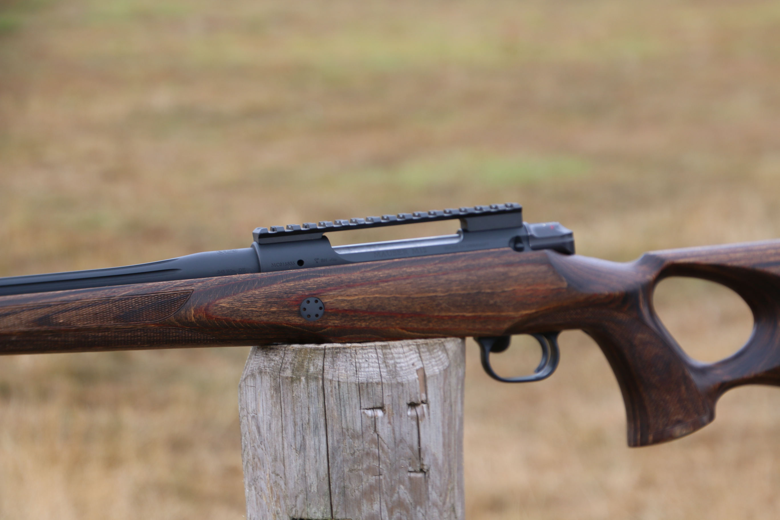 Mauser M12
