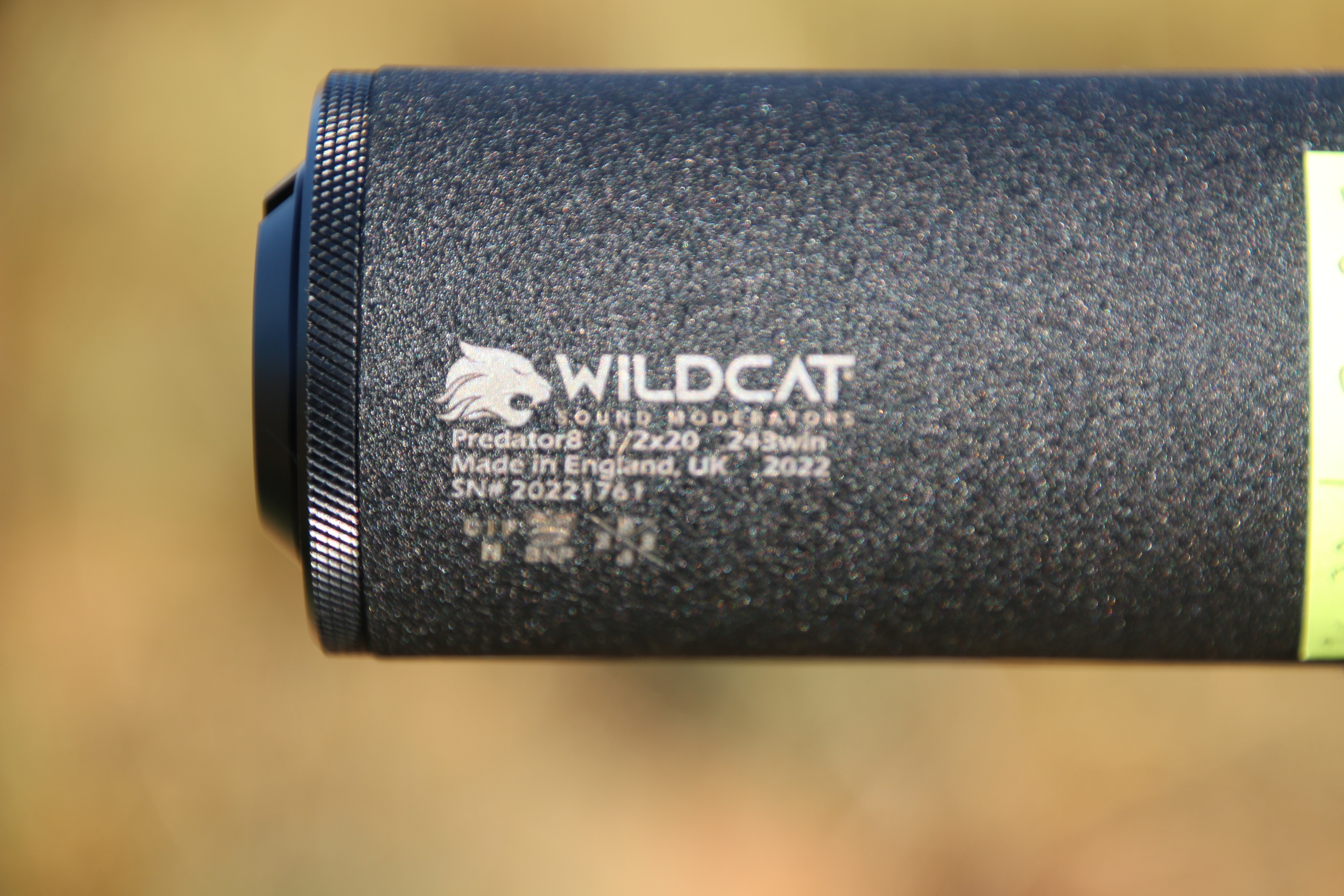 Wildcat Predator