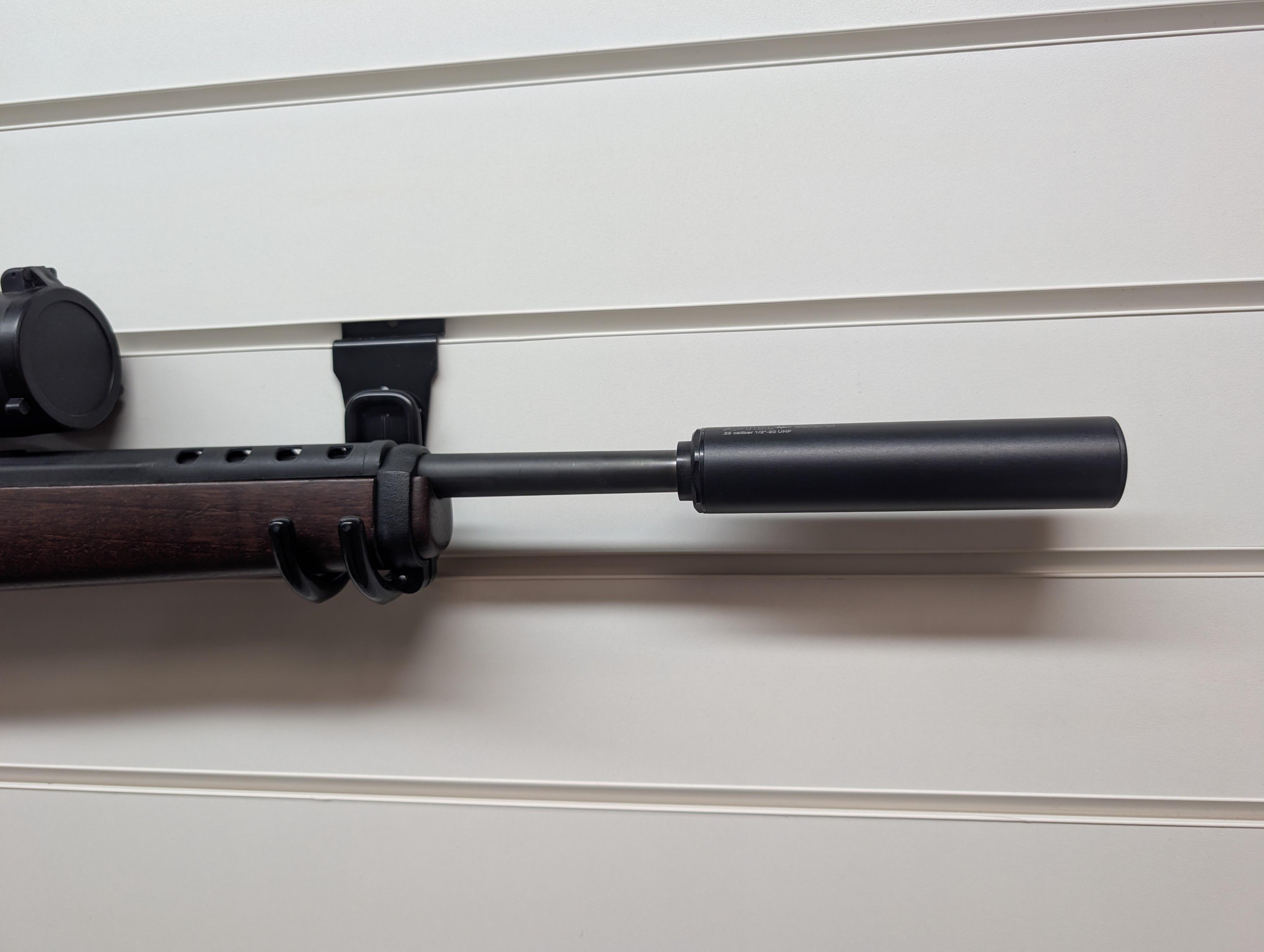 Ruger 10-22