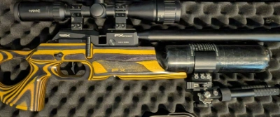 Firearm: FX Crown Black and Yellow Laminate
