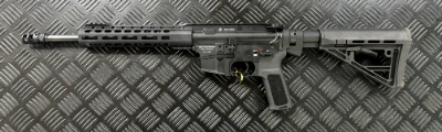 Firearm: Schmeisser SP9 