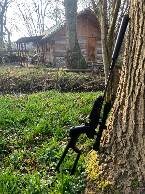 Firearm: Crosman 2250 B