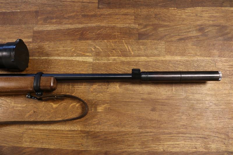 Ruger 10-22
