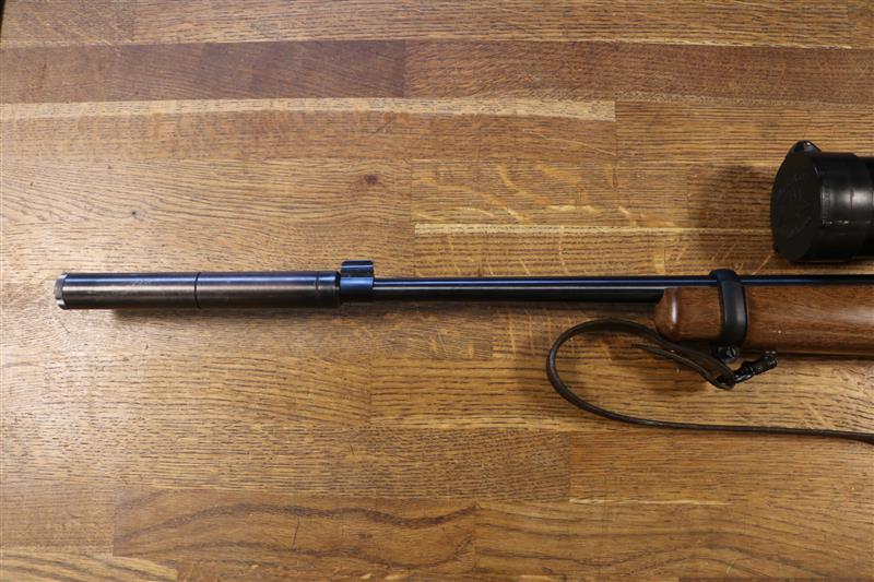 Ruger 10-22