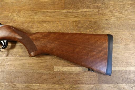 Firearm: Ruger 10-22 