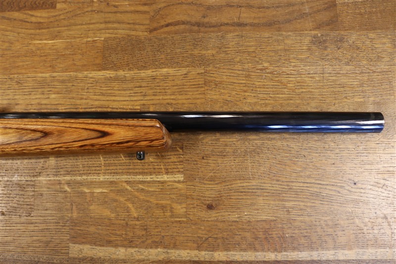 Ruger 10-22