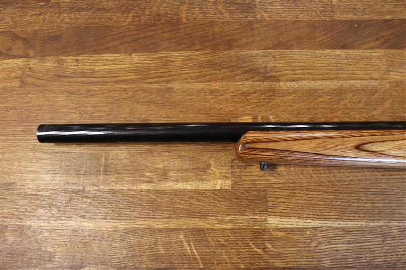 Ruger 10-22