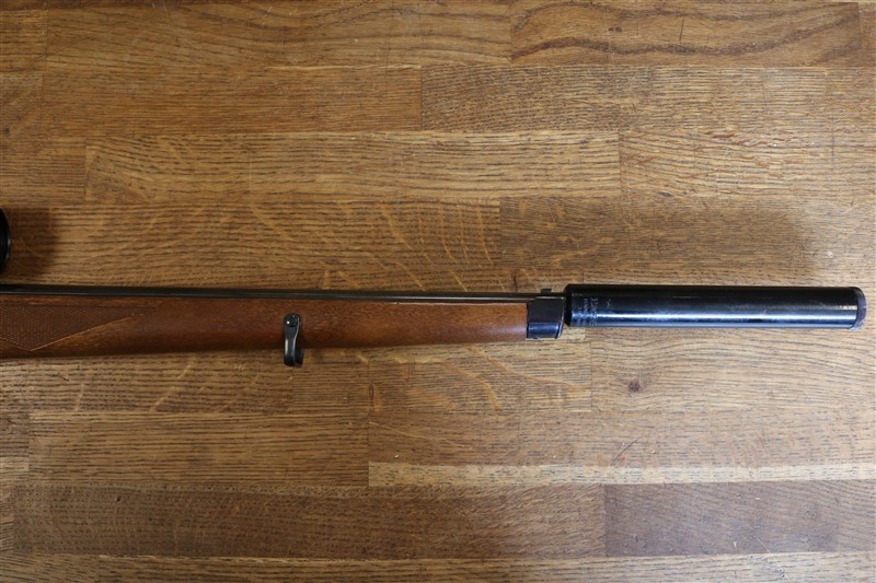 Ruger 10-22