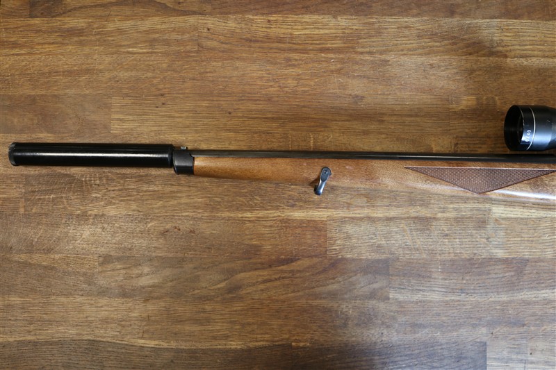 Ruger 10-22