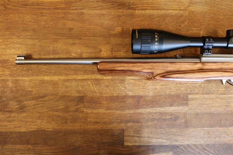 Ruger 10-22