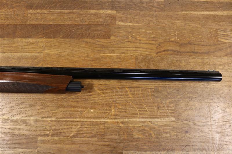 Benelli Raffaello