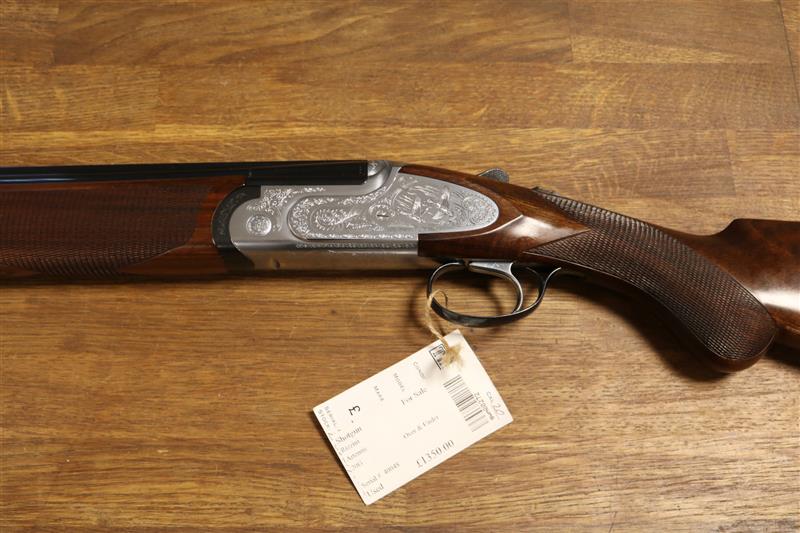 Rizzini B Artemis