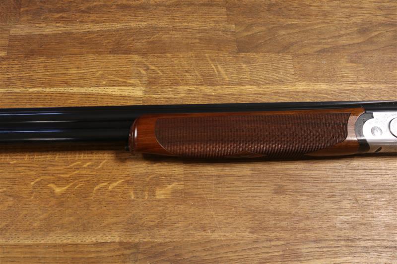 Rizzini B Artemis