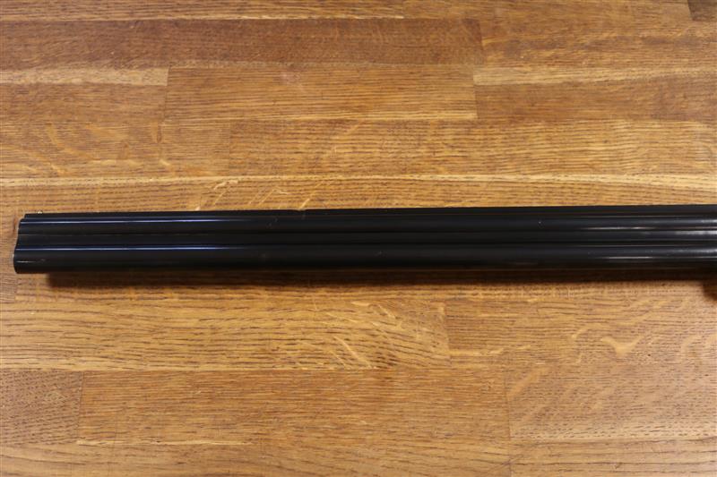 Rizzini B Artemis
