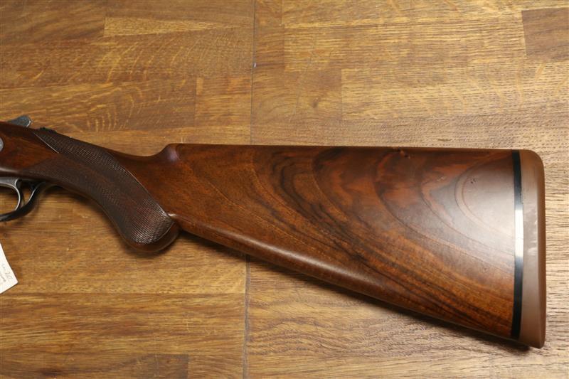 Rizzini B Artemis