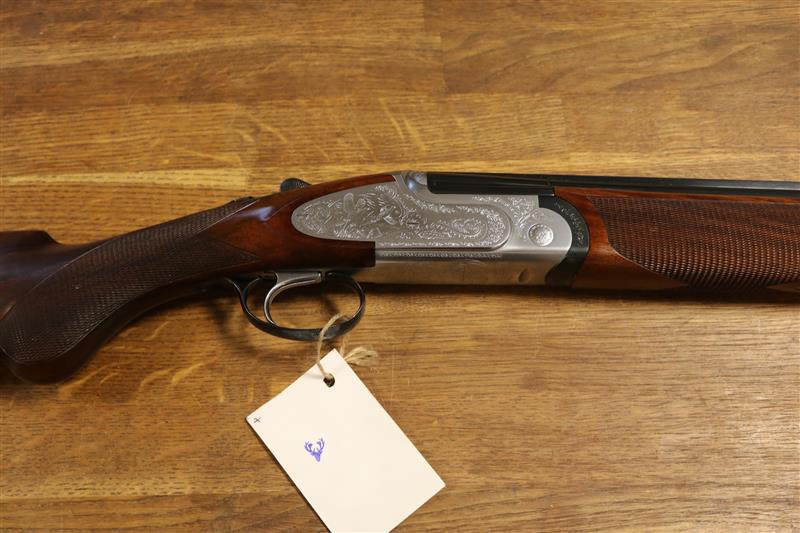 Rizzini B Artemis