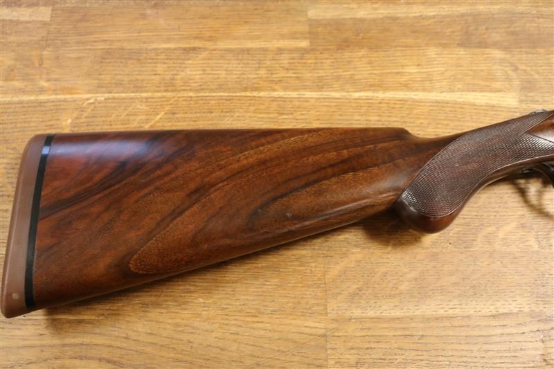 Rizzini B Artemis