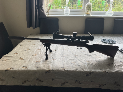 Firearm: CZ 452 2E ZKM FS Varmint
