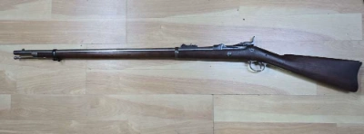 Firearm: Springfield Model 1884 Trapdoor Rifle 