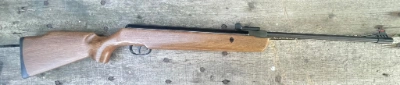 Firearm: SMK 19 