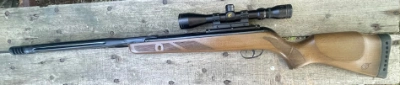 Firearm: Stoeger X20 S Supressor combo