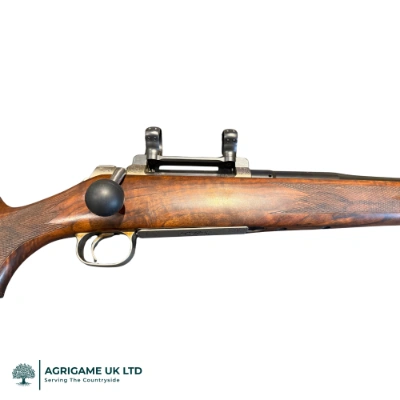 Firearm: Ruger 10-22 