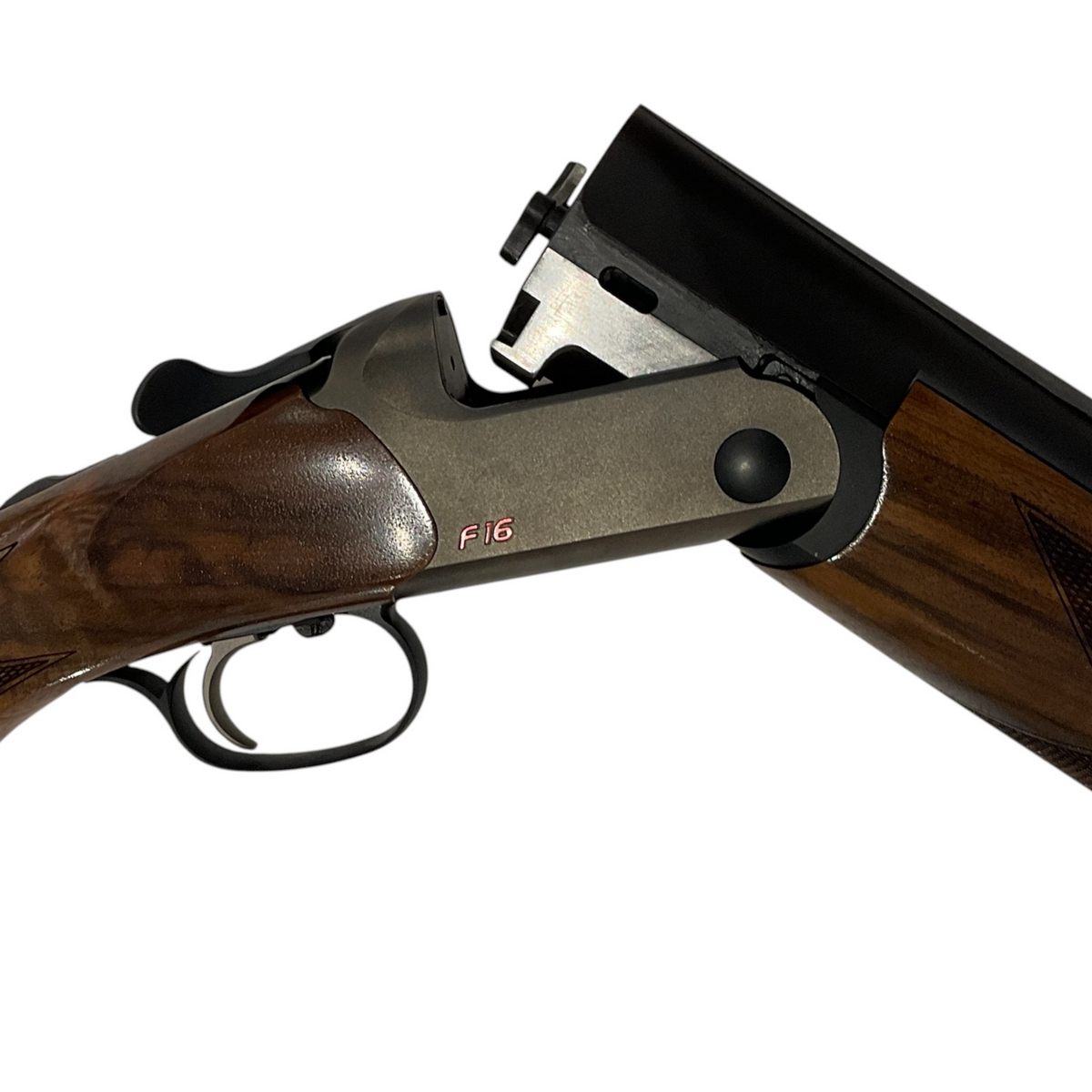 Blaser F16