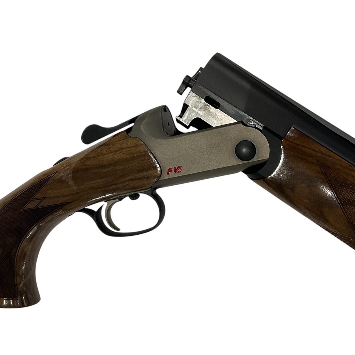Blaser F16
